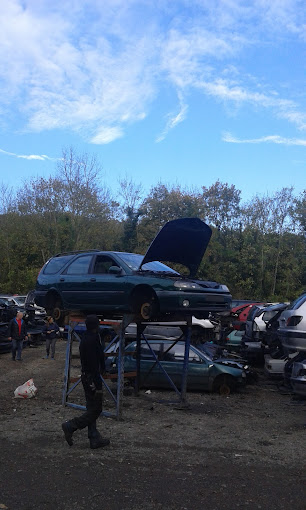 Aperçu des activités de la casse automobile ROSNY AUTO PIECES située à ROSNY-SUR-SEINE (78710)